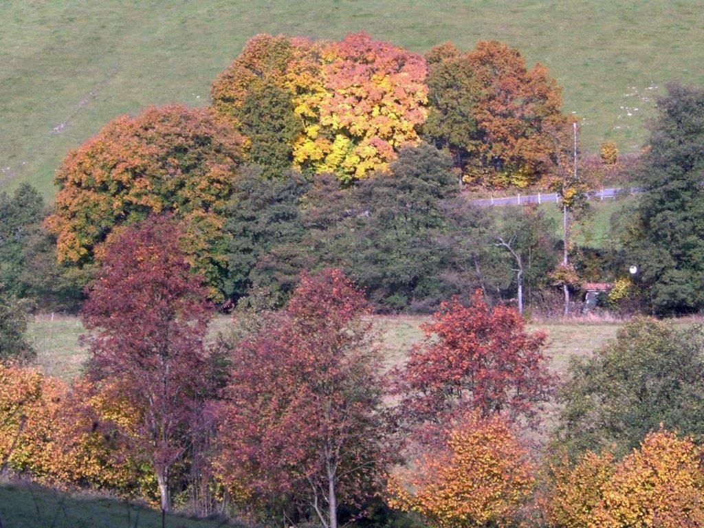 Traum Am See Lägenhet Winterberg Exteriör bild